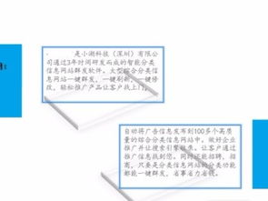数字时代的好帮手 扑来猫与深圳网络推广的完美结合